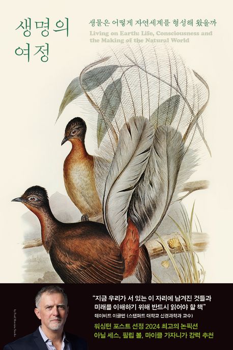 ������ ����